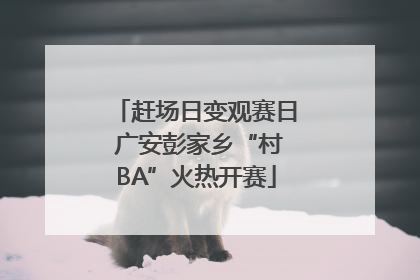 赶场日变观赛日 广安彭家乡“村BA”火热开赛