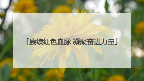 赓续红色血脉 凝聚奋进力量