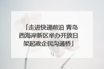 走进快递前沿 青岛西海岸新区举办开放日架起政企民沟通桥