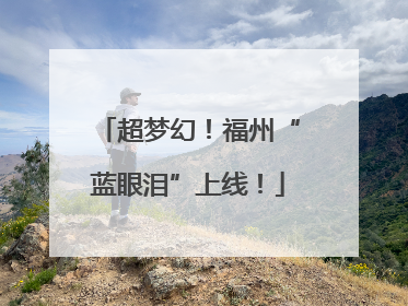 超梦幻！福州“蓝眼泪”上线！
