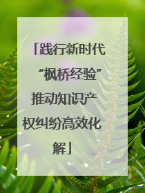 践行新时代“枫桥经验” 推动知识产权纠纷高效化解
