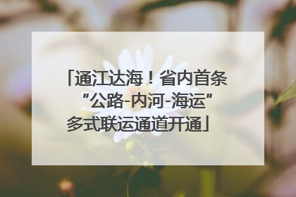 通江达海！省内首条“公路-内河-海运”多式联运通道开通