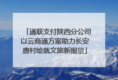 通联支付陕西分公司以云商通方案助力长安唐村绘就文旅新图景