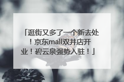 逛街又多了一个新去处！京东mall双井店开业！碧云泉强势入驻！