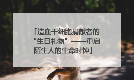 造血干细胞捐献者的“生日礼物”——重启陌生人的生命时钟