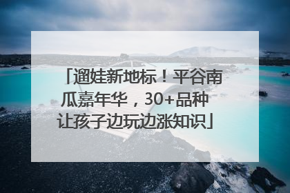 遛娃新地标！平谷南瓜嘉年华，30+品种让孩子边玩边涨知识