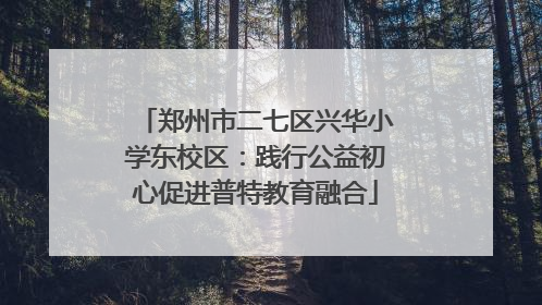 郑州市二七区兴华小学东校区：践行公益初心促进普特教育融合