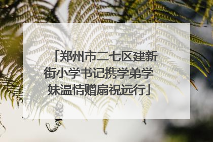 郑州市二七区建新街小学书记携学弟学妹温情赠扇祝远行