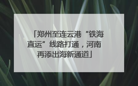 郑州至连云港“铁海直运”线路打通，河南再添出海新通道