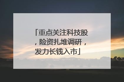 重点关注科技股，险资扎堆调研，发力长钱入市