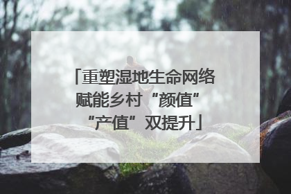 重塑湿地生命网络 赋能乡村“颜值”“产值”双提升