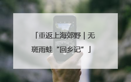 重返上海郊野｜无斑雨蛙“回乡记”