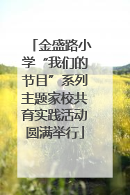 金盛路小学“我们的节目”系列主题家校共育实践活动圆满举行