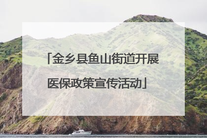金乡县鱼山街道开展医保政策宣传活动