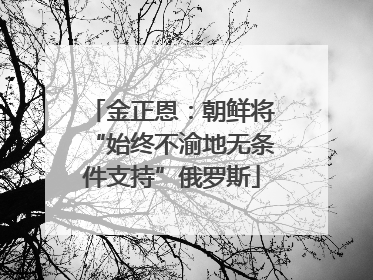 金正恩：朝鲜将“始终不渝地无条件支持”俄罗斯
