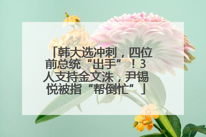 韩大选冲刺，四位前总统“出手”！3人支持金文洙，尹锡悦被指“帮倒忙”