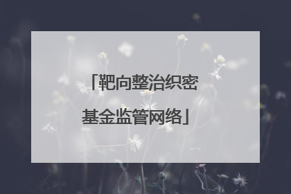 靶向整治织密基金监管网络