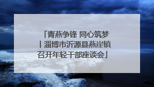 青燕争锋 同心筑梦丨淄博市沂源县燕崖镇召开年轻干部座谈会