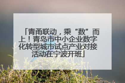 青甬联动，乘“数”而上！青岛市中小企业数字化转型城市试点产业对接活动在宁波开班