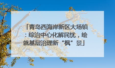 青岛西海岸新区大场镇：综治中心化解民忧，绘就基层治理新“枫”景
