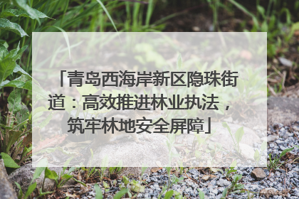 青岛西海岸新区隐珠街道：高效推进林业执法，筑牢林地安全屏障