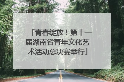 青春绽放！第十一届湖南省青年文化艺术活动总决赛举行