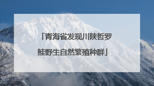 青海省发现川陕哲罗鲑野生自然繁殖种群