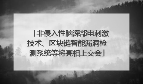 非侵入性脑深部电刺激技术、区块链智能漏洞检测系统等将亮相上交会