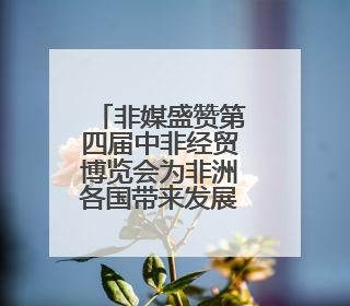 非媒盛赞第四届中非经贸博览会为非洲各国带来发展机遇