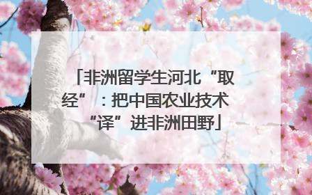 非洲留学生河北“取经”：把中国农业技术“译”进非洲田野
