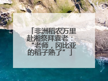非洲稻农万里赴湘祭拜袁老：“老师，冈比亚的稻子熟了”