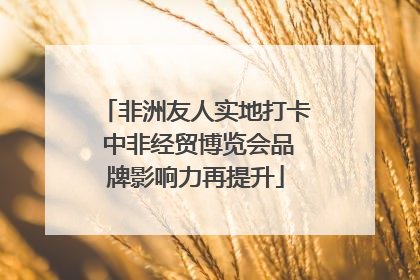 非洲友人实地打卡 中非经贸博览会品牌影响力再提升