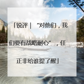 锐评｜“对他们，我们要有战略耐心”，任正非给谁提了醒