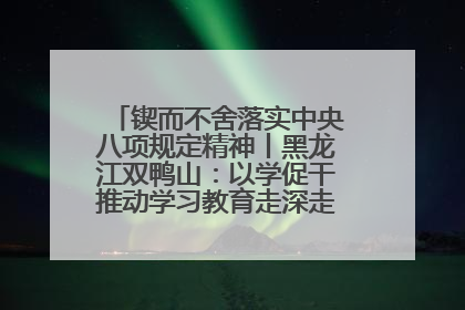 锲而不舍落实中央八项规定精神丨黑龙江双鸭山：以学促干推动学习教育走深走实 从小事入手写好“民生答卷”