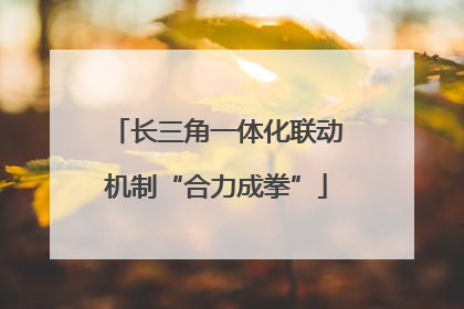 长三角一体化联动机制“合力成拳”