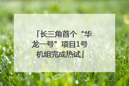 长三角首个“华龙一号”项目1号机组完成热试