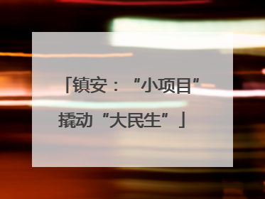 镇安：“小项目”撬动“大民生”