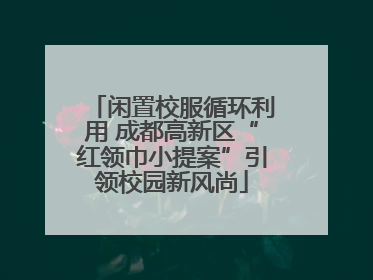 闲置校服循环利用 成都高新区“红领巾小提案”引领校园新风尚