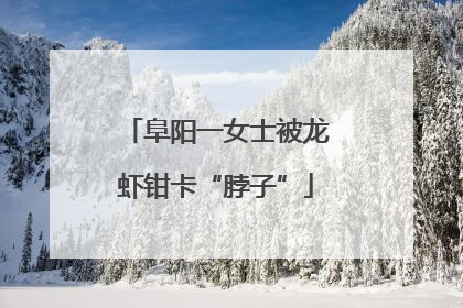 阜阳一女士被龙虾钳卡“脖子”