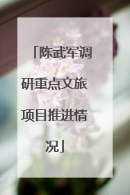 陈武军调研重点文旅项目推进情况
