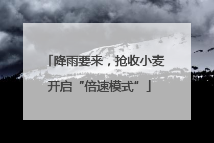 降雨要来，抢收小麦开启“倍速模式”