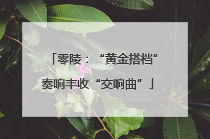 零陵：“黄金搭档”奏响丰收“交响曲”