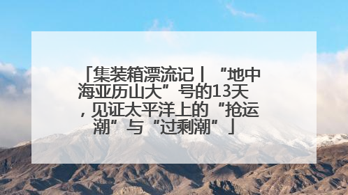 集装箱漂流记丨“地中海亚历山大”号的13天，见证太平洋上的“抢运潮”与“过剩潮”
