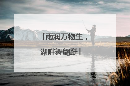 雨润万物生，湖畔舞翩跹