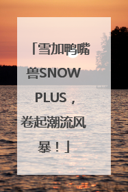 雪加鸭嘴兽SNOWPLUS，卷起潮流风暴！