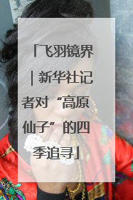 飞羽镜界｜新华社记者对“高原仙子”的四季追寻