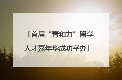 首届“青和力”留学人才嘉年华成功举办