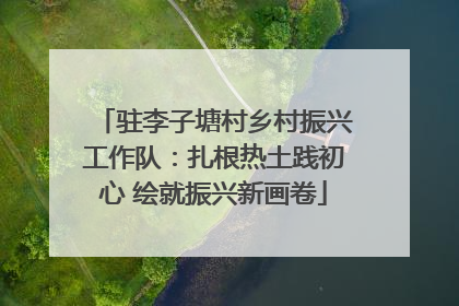 驻李子塘村乡村振兴工作队：扎根热土践初心 绘就振兴新画卷