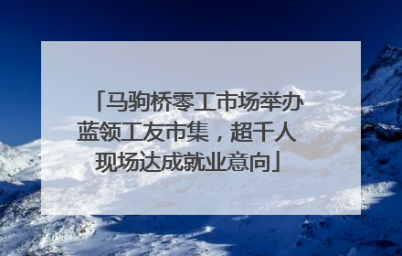 马驹桥零工市场举办蓝领工友市集，超千人现场达成就业意向