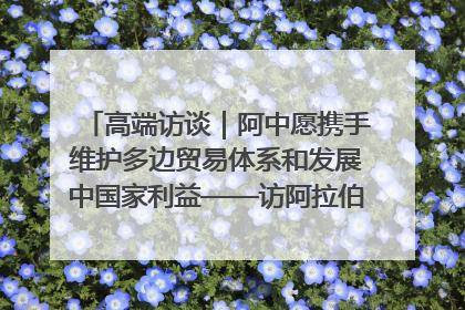 高端访谈｜阿中愿携手维护多边贸易体系和发展中国家利益——访阿拉伯议会议长亚马希